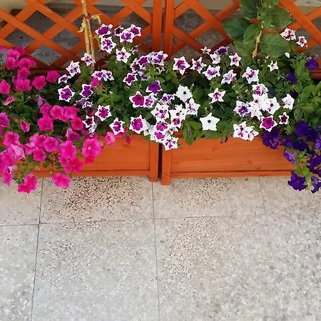La Casetta Pati Λέτσε